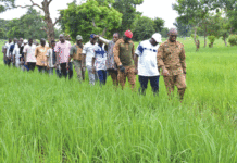 Campagne agricole 2024-2025 : le ministre Sombié encourage les producteurs