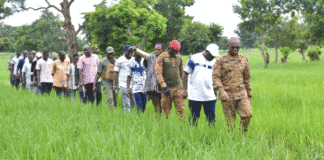 Campagne agricole 2024-2025 : le ministre Sombié encourage les producteurs
