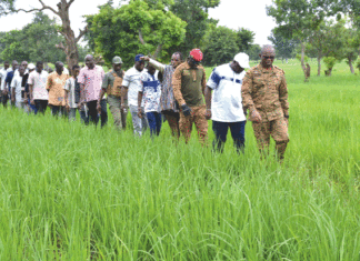 Campagne agricole 2024-2025 : le ministre Sombié encourage les producteurs