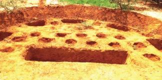 Restauration des terres dégradées : les demi-lunes multifonctions adoptées avec succès par les PDI de Oula