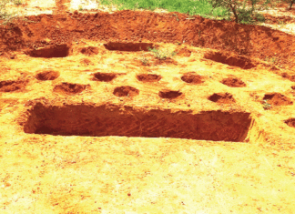 Restauration des terres dégradées : les demi-lunes multifonctions adoptées avec succès par les PDI de Oula