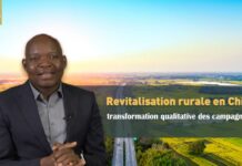 Revitalisation rurale en Chine : transformation qualitative des campagnes