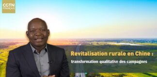 Revitalisation rurale en Chine : transformation qualitative des campagnes