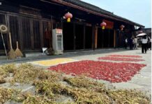 Village de Shibadong : De la pauvreté à la prospérité