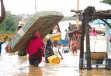 Inondations au Niger: plus de 7 000 tonnes de céréales et de kits non alimentaires pour les sinistrés