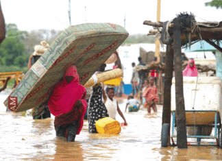 Inondations au Niger: plus de 7 000 tonnes de céréales et de kits non alimentaires pour les sinistrés