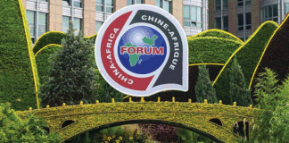 A l’école du dragon chinois