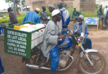 Transformation du lait et du maïs : le PACTE accompagne des producteurs dans les Hauts- Bassins