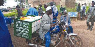 Transformation du lait et du maïs : le PACTE accompagne des producteurs dans les Hauts- Bassins