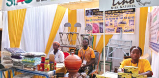 SIAO 2024 : le Centre-Est, le Plateau central et l’Est présentent leurs potentialités