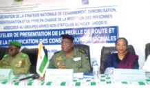 Niger : vers la validation d’une Stratégie de désarmement, démobilisation, réintégration et prise en charge de la reddition