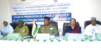 Niger : vers la validation d’une Stratégie de désarmement, démobilisation, réintégration et prise en charge de la reddition