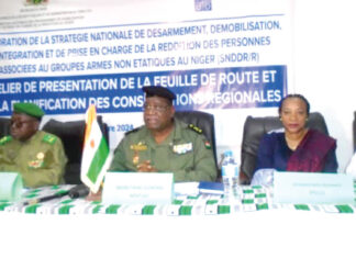 Niger : vers la validation d’une Stratégie de désarmement, démobilisation, réintégration et prise en charge de la reddition