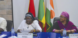 Stratégie de stabilisation du Liptako Gourma : un plan d’actions en cours d’élaboration à Bobo-Dioulasso