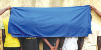 Lutte contre le grand banditisme : la gendarmerie démantèle trois réseaux de délinquants