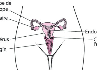 Douleurs pelviennes chez la femme : consulter immédiatement un médecin en cas de signes avant-coureurs