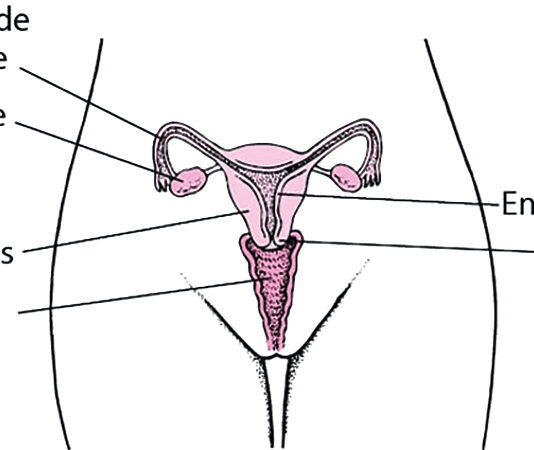 Douleurs pelviennes chez la femme : consulter immédiatement un médecin en cas de signes avant-coureurs