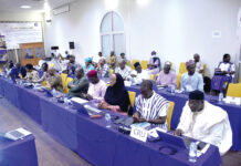 Autorité du bassin du Niger : des rencontres pour planifier les projets de 2025