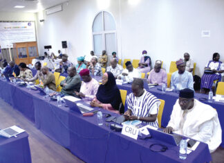 Autorité du bassin du Niger : des rencontres pour planifier les projets de 2025