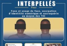Lutte contre la cybercriminalité : la BCLCC a démantelé un réseau de faux vendeurs d’animaux en ligne