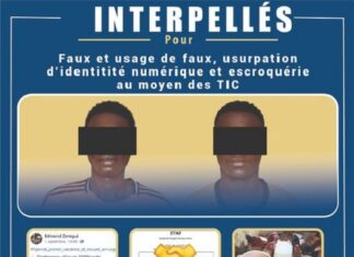 Lutte contre la cybercriminalité : la BCLCC a démantelé un réseau de faux vendeurs d’animaux en ligne