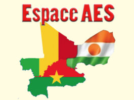 AES/Niger : le FMI prévoit une croissance économique de 8,8 % en 2024