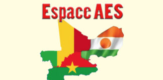 AES/Niger : le FMI prévoit une croissance économique de 8,8 % en 2024