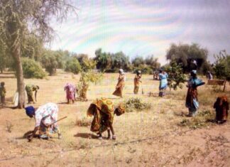 Lutte contre la sécheresse : les femmes rurales, moteurs de la résilience mondiale