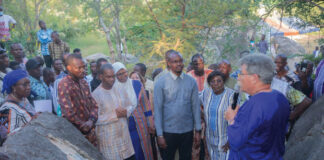 Site de granite de Laongo : 21 nouvelles œuvres enregistrées