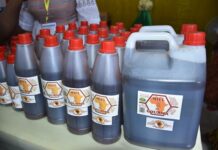 Focus apiculture : Les 4 types du miel du Gourma au pavillon des pyramides