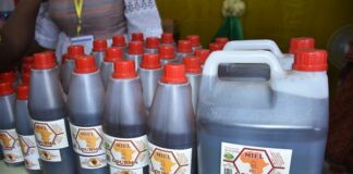 Focus apiculture : Les 4 types du miel du Gourma au pavillon des pyramides