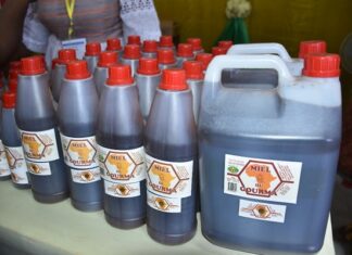 Focus apiculture : Les 4 types du miel du Gourma au pavillon des pyramides
