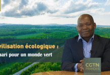 Civilisation écologique : le pari pour un monde vert