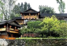 Shibadong : Le live streaming aide aux villageois à sortir de la pauvreté