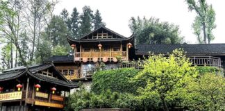 Shibadong : Le live streaming aide aux villageois à sortir de la pauvreté