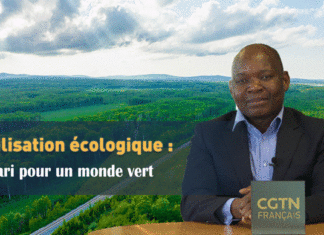 Civilisation écologique : le pari pour un monde vert