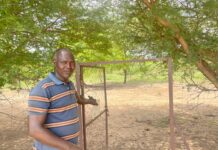 Gestion durable des terres: la « Mise en défens », une méthode gagnante à Dayagrtenga