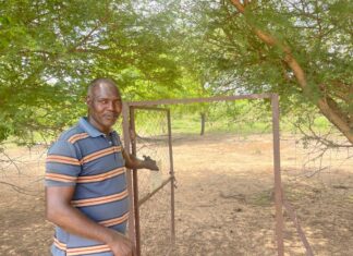 Gestion durable des terres: la « Mise en défens », une méthode gagnante à Dayagrtenga