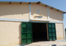 Production du beurre de karité: la rareté des noix hante la filière