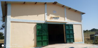 Production du beurre de karité: la rareté des noix hante la filière