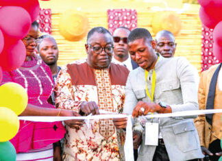Festival de la coopération sino-burkinabè : l’industrialisation du Burkina au cœur de la célébration