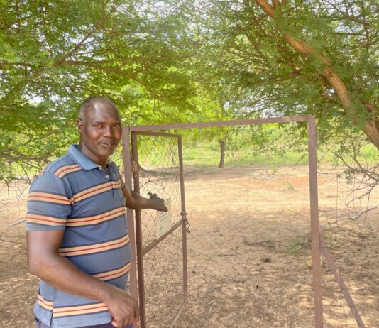 Gestion durable des terres: la « Mise en défens », une méthode gagnante à Dayagrtenga