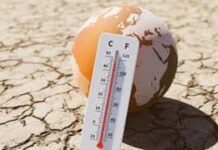 Changement climatique : 2024 en passe de devenir l’année la plus chaude jamais enregistrée