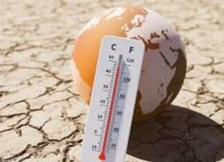 Changement climatique : 2024 en passe de devenir l’année la plus chaude jamais enregistrée