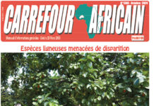 Une Carrefour africain n°1308-octobre 2024