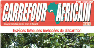 Une Carrefour africain n°1308-octobre 2024