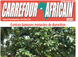 Une Carrefour africain n°1308-octobre 2024