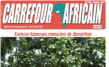 Une Carrefour africain n°1308-octobre 2024