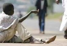 Tchad : rapatriement de plus de 500 sans-abris étrangers