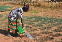 Inégalités sur le genre: une banque de données pour des politiques inclusives